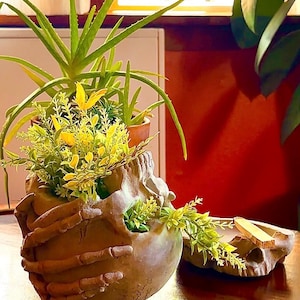 May include: A unique skull-shaped planter with a skeletal hand design, filled with green and yellow plants. A matching skull-shaped dish sits nearby. The planter is a light beige color, and the plants add a vibrant contrast.
