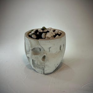 May include: White concrete skull planter with a crack down the middle, filled with small white and green stones.