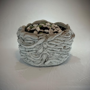 May include: A gray concrete planter with a textured, organic design. The planter is filled with small white and green stones.
