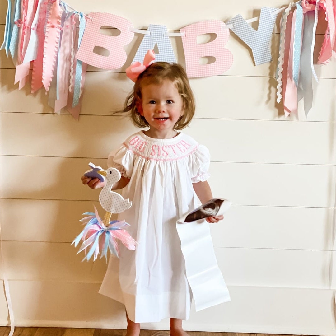 Big Sister Smocked Dress in Pink Bishop Style Gender Reveal Party Coordinating Brother Sister Outfits 281 Etsy Canada