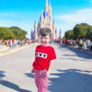 Mouse Smocked Boy's Shirt in Red Knit! Perfect for Disney Vacation or Birthday Party, Matching Sibling options 527 *H