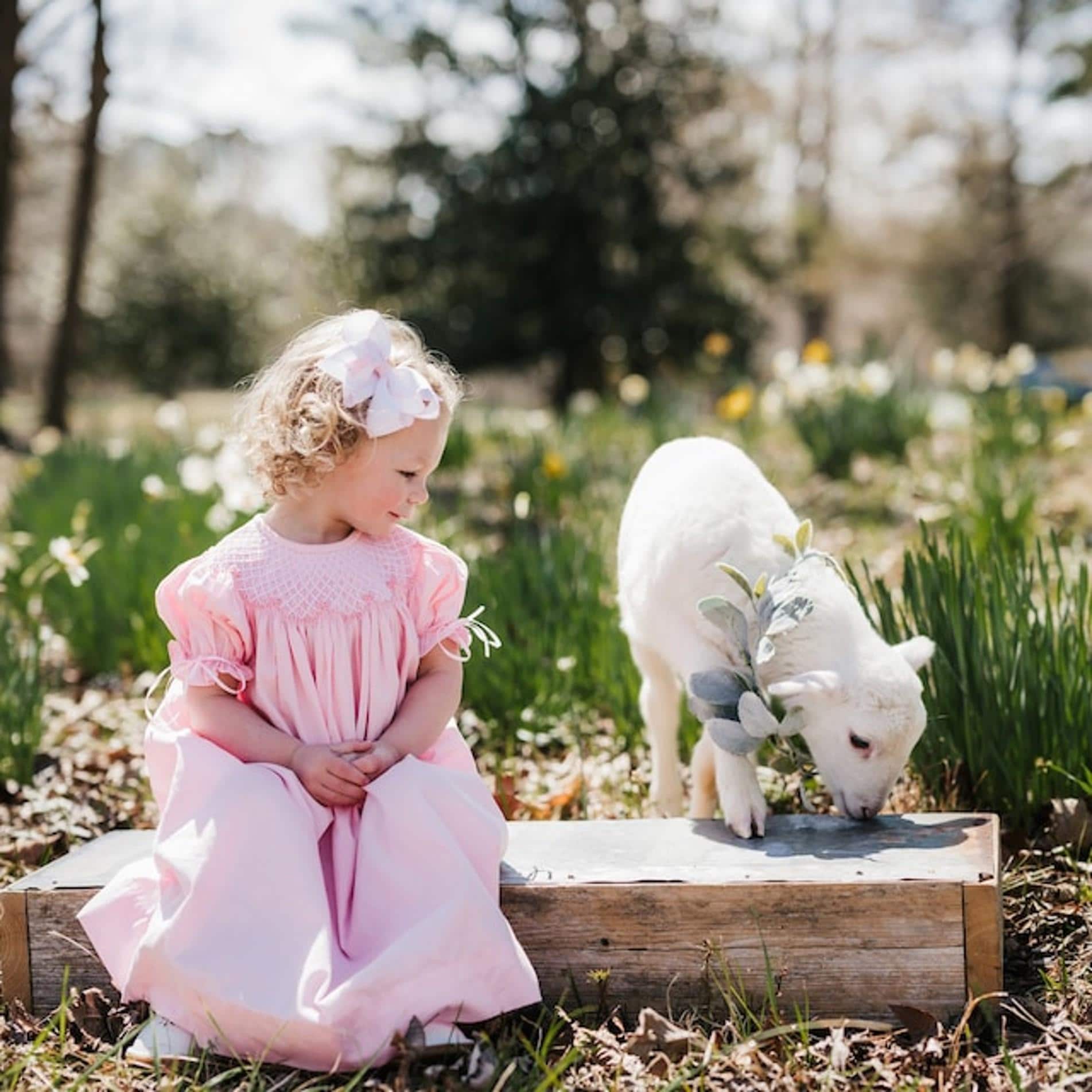 Smocked Heirloom Dress in Pink With Ribbons on the Sleeves