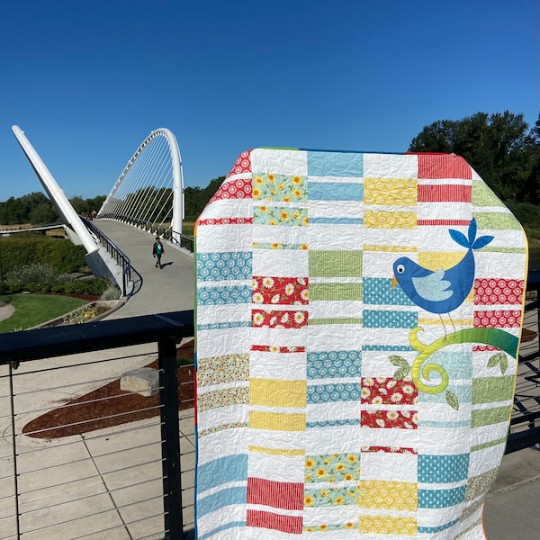 Large Lap Quilt, Baby Quilt, Baby Shower Gift, Original Design