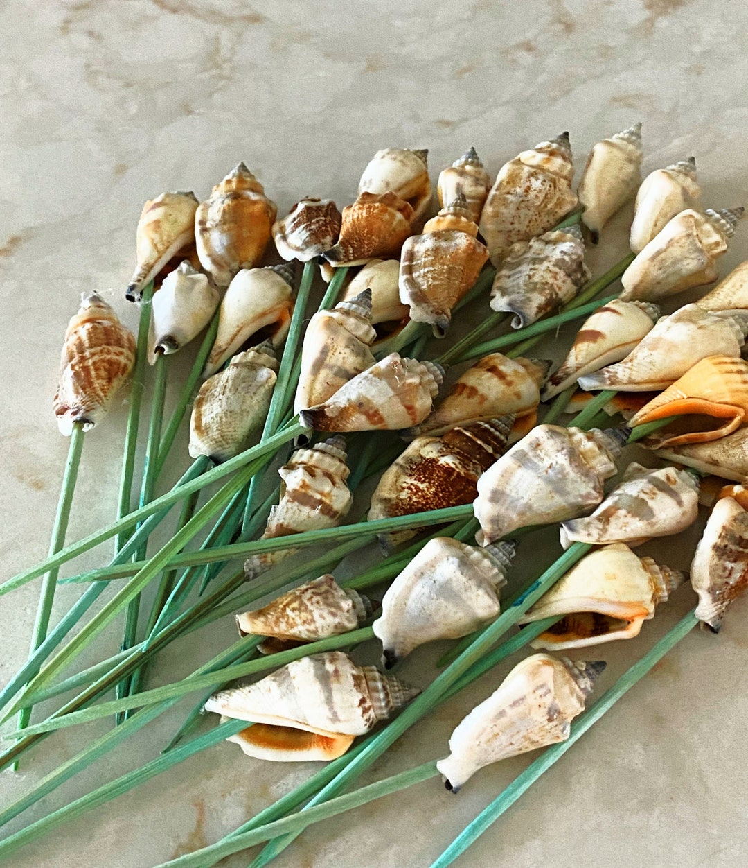 Hors D'oeuvre Toothpicks Party Skewers Fancy Toothpicks Etsy