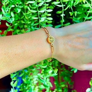 May include: A gold chain bracelet with a round charm featuring a tree of life design.