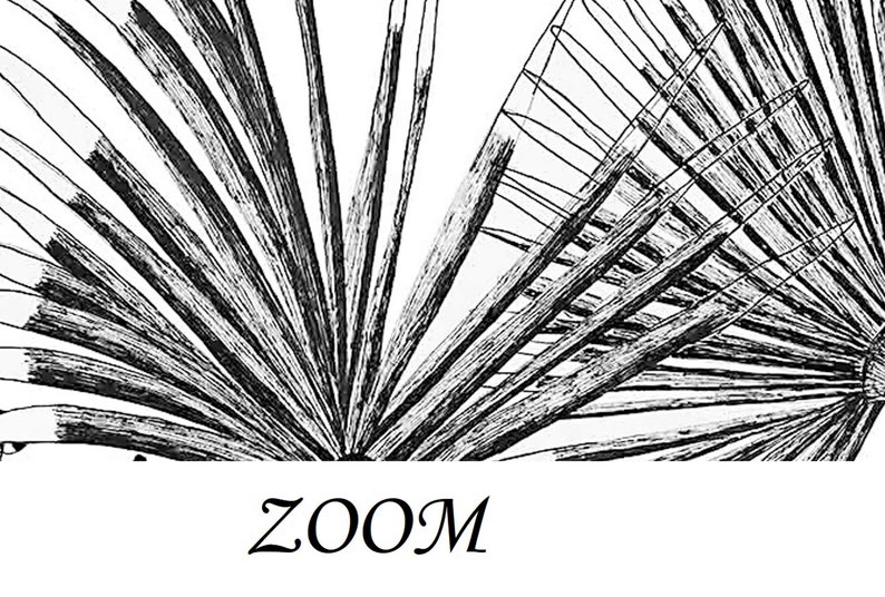 Peel and Stick Jungle Wallpaper Black and White Leopard Wall Etsy