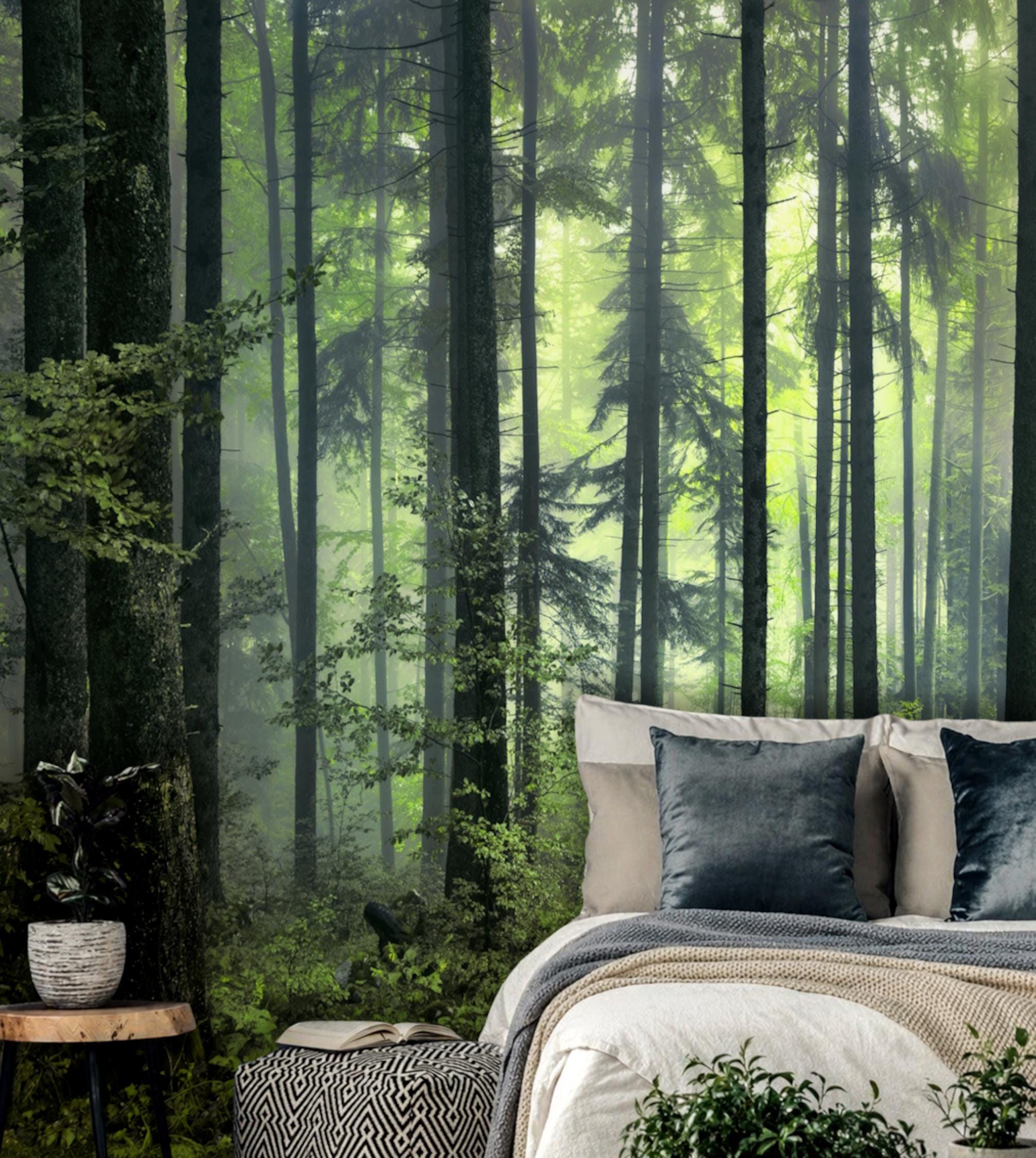 Evergreen Misty Forest Wall Mural, Woodland Wallpaper, Peel and