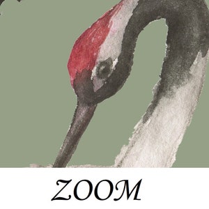 May include: A watercolor painting of a crane with a red head and black neck, against a green background. The crane's head is bent down, and the word "ZOOM" is written in black below the image.