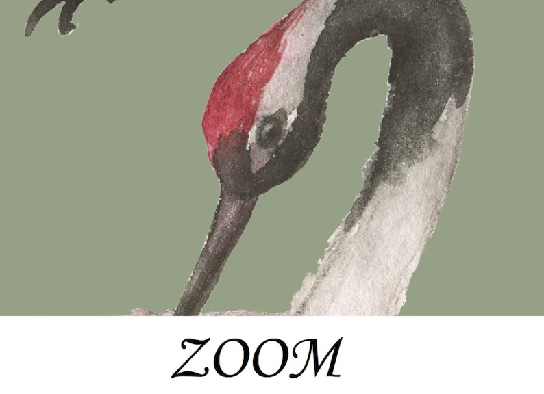 May include: A watercolor painting of a crane with a red head and black neck, against a green background. The crane's head is bent down, and the word "ZOOM" is written in black below the image.