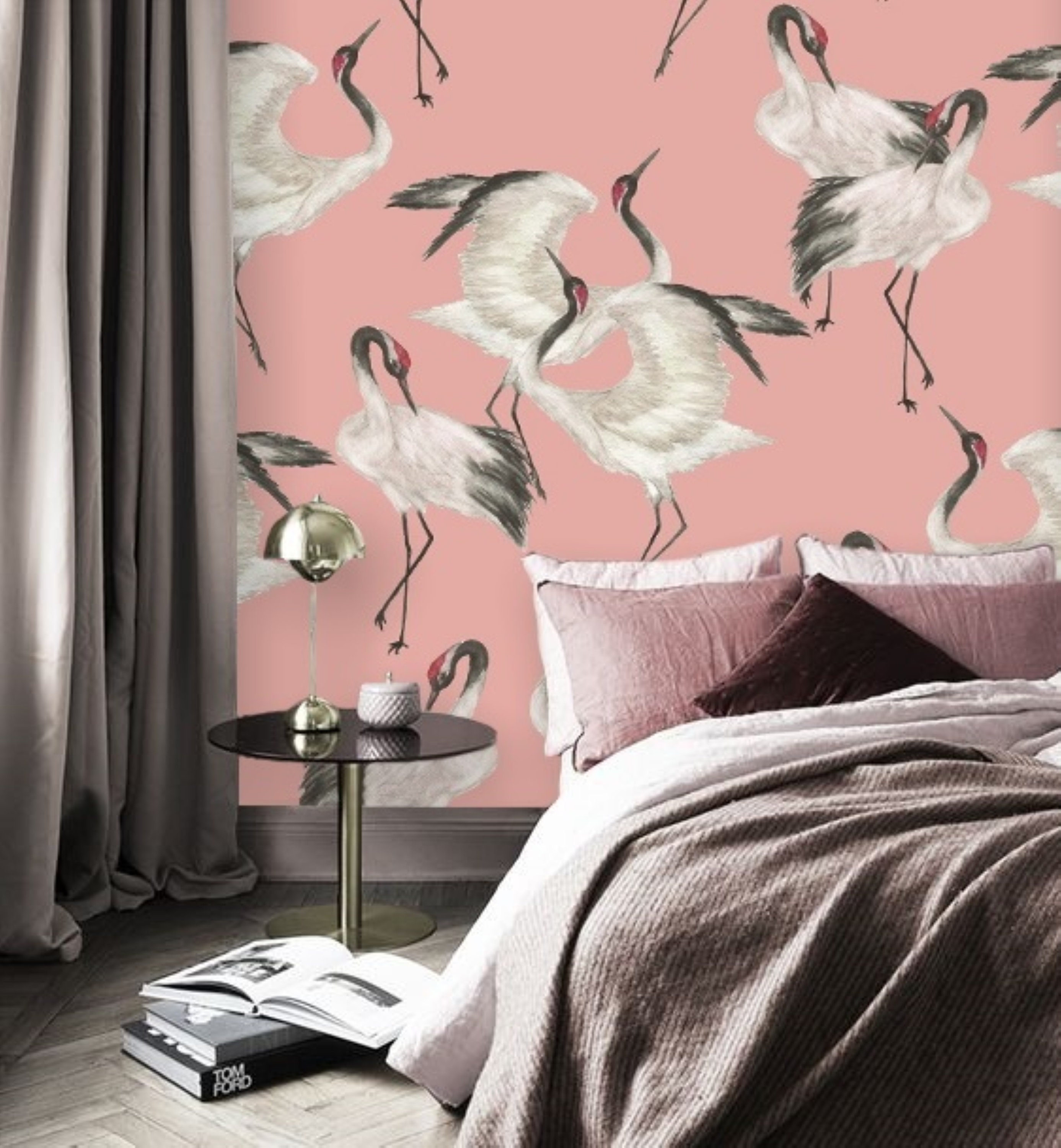 HD wallpaper pink flamingo eak bird flamingos black background pink  Color  Wallpaper Flare