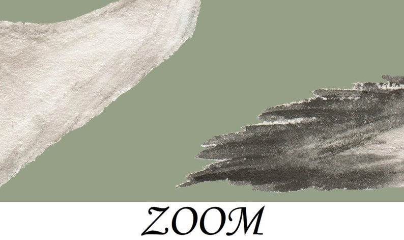 May include: Abstract watercolor painting with two brushstrokes, one in white and one in black, on a sage green background. The word "ZOOM" is written in black cursive at the bottom of the image.
