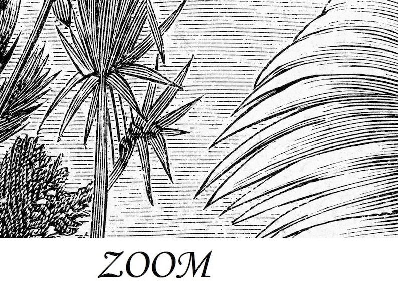 Black and White Jungle Wallpaper Rainforest Landscape Wall Etsy