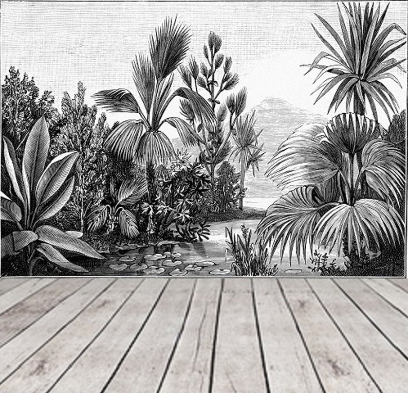 Negro y blanco selva fondo de bosque tropical paisaje pared | Etsy
