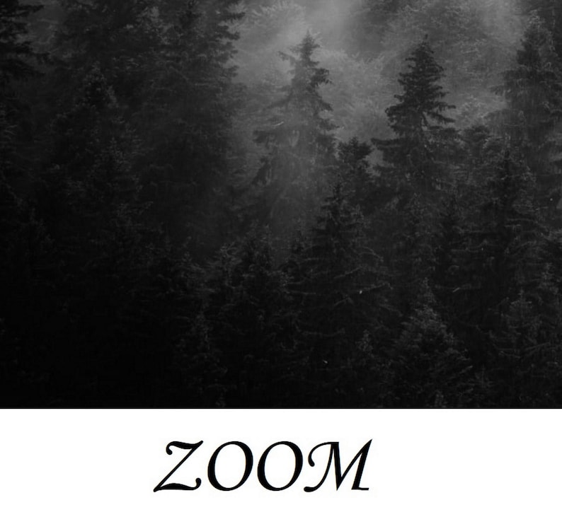 Black and White Forest Wallpaper Mural Peel and Stick Remove Etsy