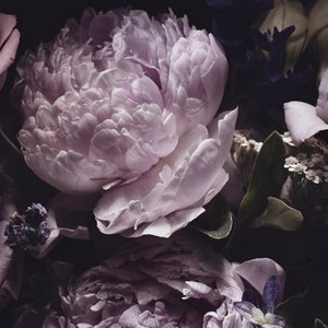 Puede incluir: Primer plano de un ramo de flores moradas y rosas. Las flores est&aacute;n dispuestas sobre un fondo oscuro, creando una sensaci&oacute;n dram&aacute;tica y rom&aacute;ntica.