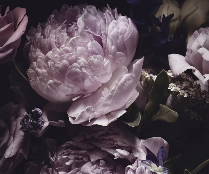 Puede incluir: Primer plano de un ramo de flores moradas y rosas. Las flores est&aacute;n dispuestas sobre un fondo oscuro, creando una sensaci&oacute;n dram&aacute;tica y rom&aacute;ntica.