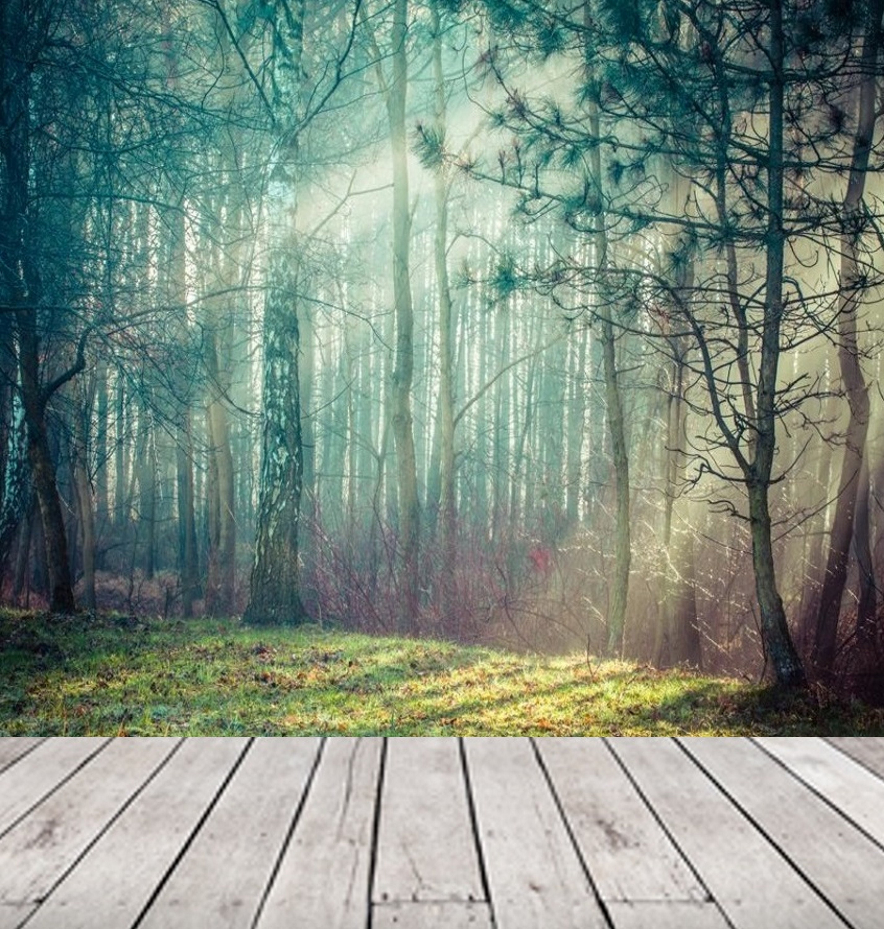 Forest Wall Mural Removable Wallpaper Forest Mural Peel & Etsy