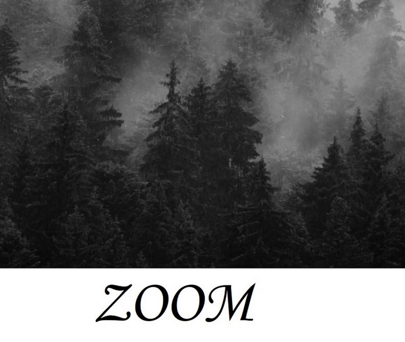 Black and White Forest Wallpaper Mural Peel and Stick Remove Etsy