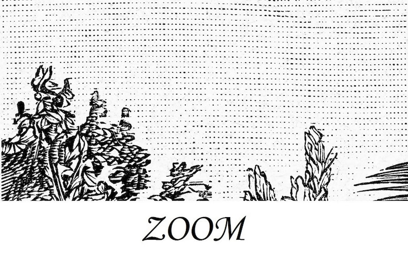 Black and White Jungle Wallpaper Rainforest Landscape Wall Etsy