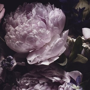 Puede incluir: Un primer plano de un ramo de flores moradas y blancas. Las flores est&aacute;n dispuestas sobre un fondo oscuro, creando una sensaci&oacute;n dram&aacute;tica y rom&aacute;ntica.