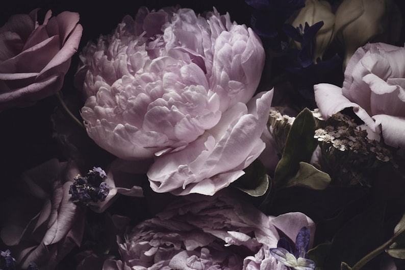 Puede incluir: Un primer plano de un ramo de flores moradas y blancas. Las flores est&aacute;n dispuestas sobre un fondo oscuro, creando una sensaci&oacute;n dram&aacute;tica y rom&aacute;ntica.