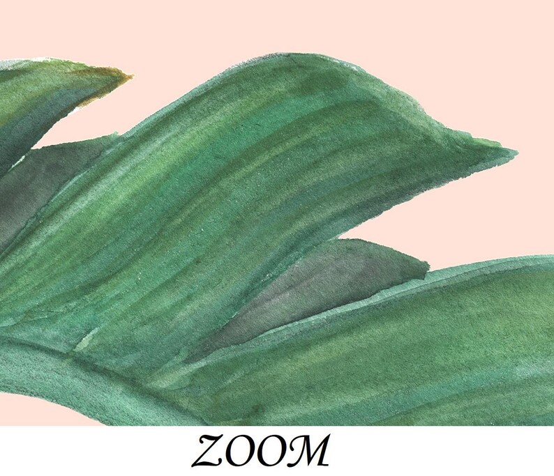 Peut inclure: Peinture &agrave; l'aquarelle d'une feuille verte avec des coups de pinceau visibles sur un fond rose clair. Le mot "ZOOM" est &eacute;crit en cursive en bas de l'image. L'&oelig;uvre a un th&egrave;me botanique.