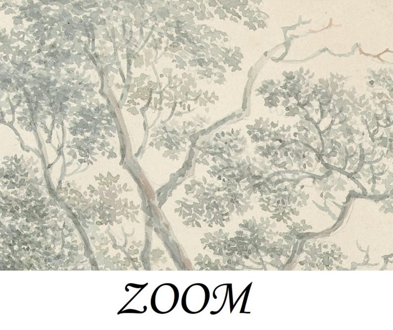 May include: A watercolour painting depicting a woodland scene with a light background and green trees. The trees are rendered with fine lines and washes of colour, giving a sense of depth and texture.