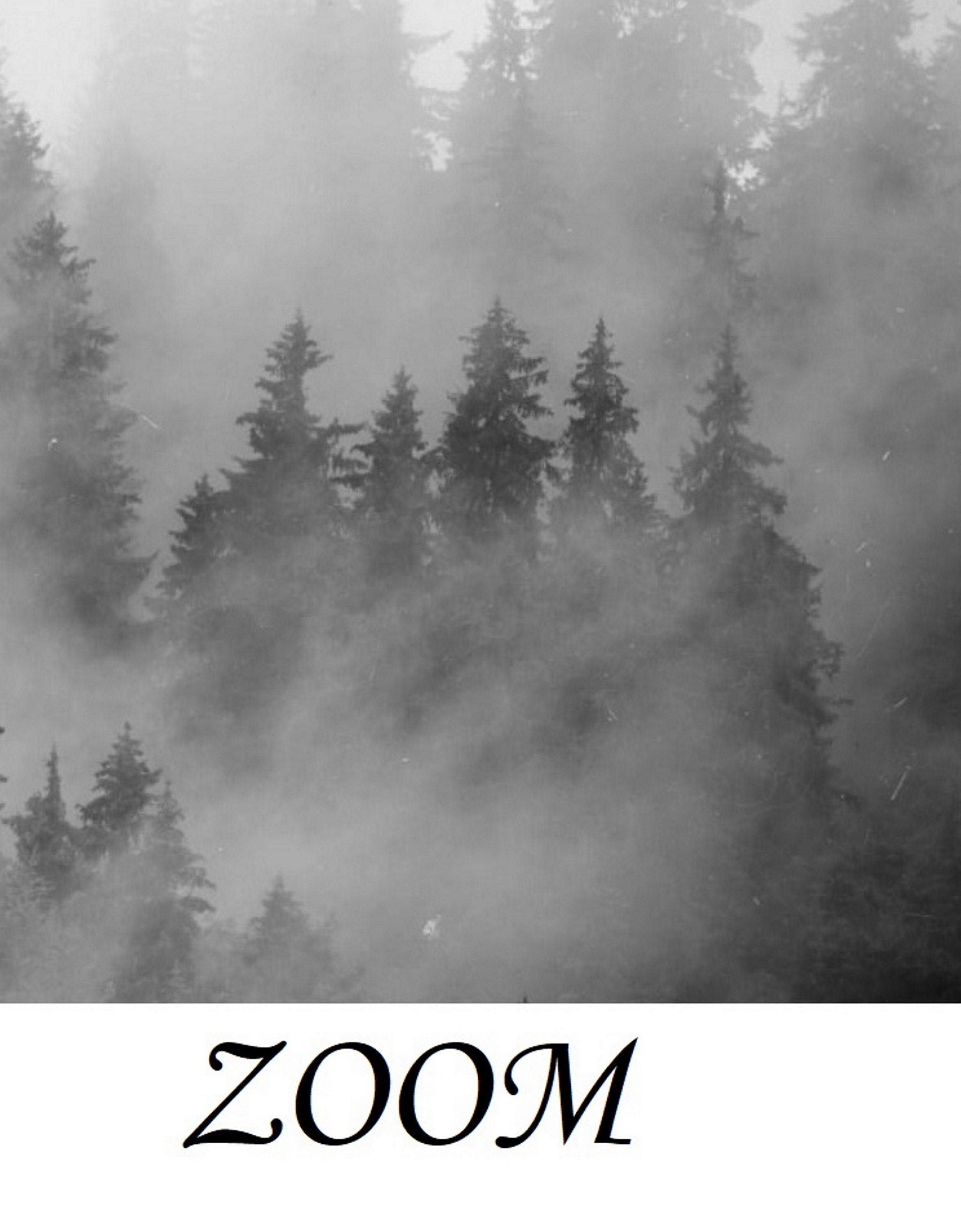 Behang met witte golvende lijnen dunne strepen abstract behang Peel and  Stick / Traditioneel modern muurdecor zwart-wit accent muurmuurschildering  - Etsy België, image size:2339x3000