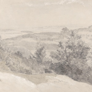 Subtle Grey Vintage Trees Pencil Drawing Sketch Landscape Wallpaper Mural Peel and Stick on Etsy