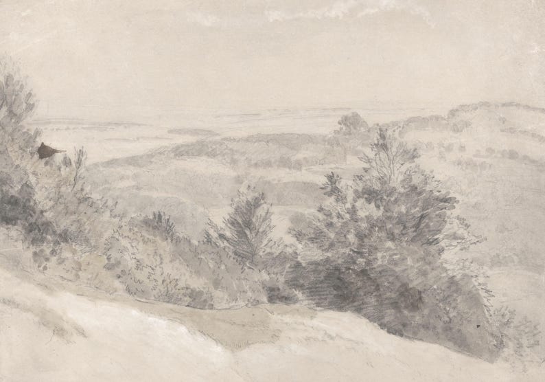 Subtle Grey Vintage Trees Pencil Drawing Sketch Landscape Wallpaper Mural Peel and Stick on Etsy