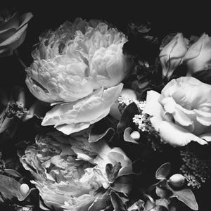 Black and White Dark Floral Wallpaper Peony Wall Mural Removable Peel and Stick on Etsy