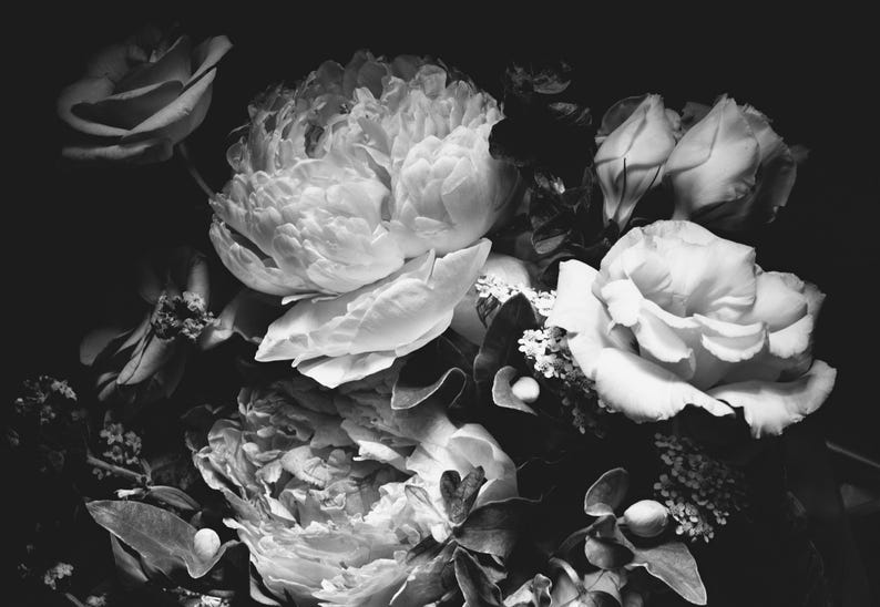 Black and White Dark Floral Wallpaper Peony Wall Mural Removable Peel and Stick on Etsy
