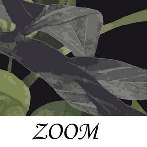 Puede incluir: Primer plano de hojas verde oscuro y grises sobre un fondo negro. La palabra "ZOOM" est&aacute; escrita en blanco en la parte inferior de la imagen.