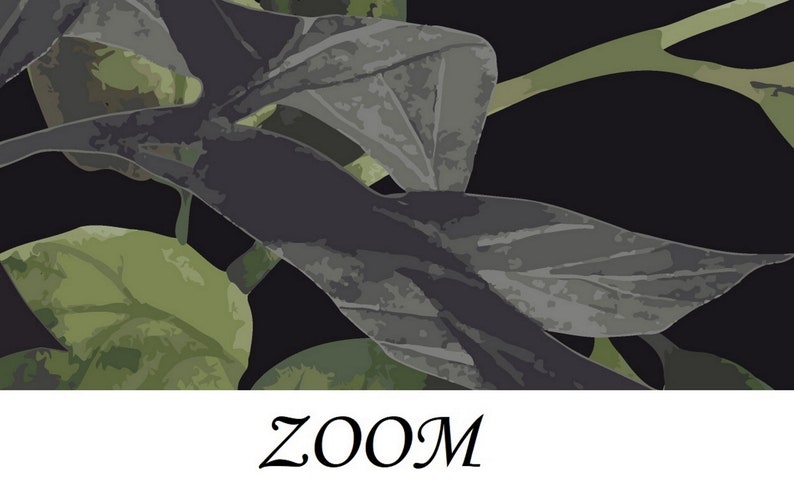 Puede incluir: Primer plano de hojas verde oscuro y grises sobre un fondo negro. La palabra "ZOOM" est&aacute; escrita en blanco en la parte inferior de la imagen.