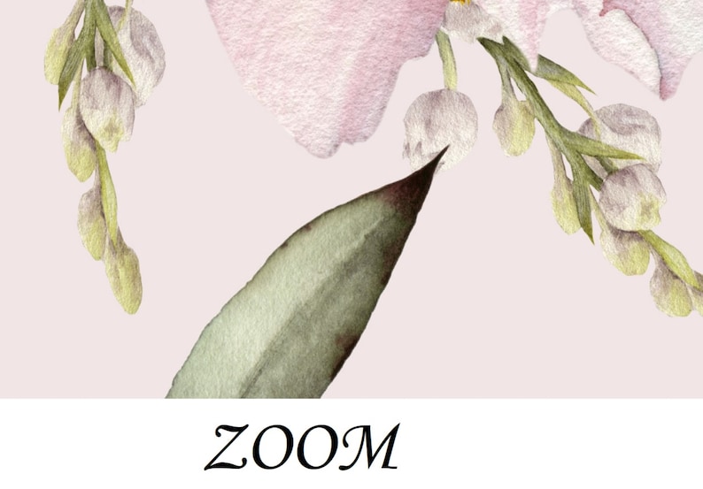 Dusty Pink and White Peony Wall Mural, Removable Peel and Stick Prepasted, French Chic Decor, Delicate Floral Wallpaper for Rustic Bedroom image 8