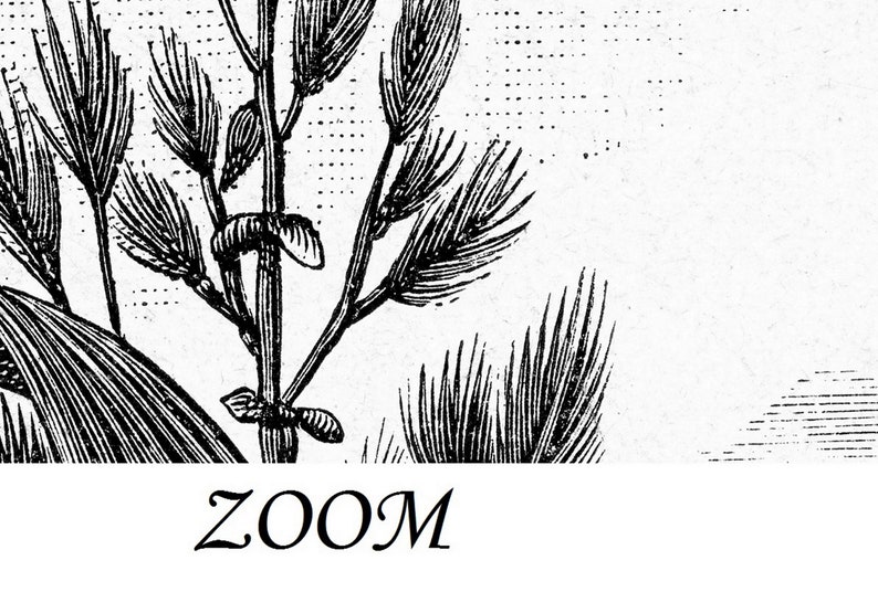 Black and White Jungle Wallpaper Rainforest Landscape Wall Etsy