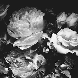 Black and White Dark Floral Wallpaper Peony Wall Mural Removable Peel and Stick on Etsy