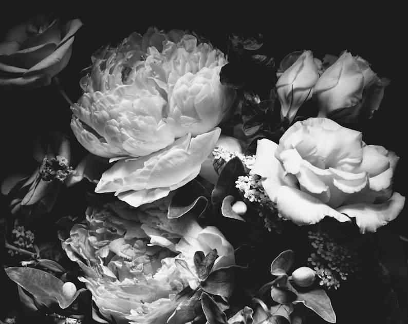 Black and White Dark Floral Wallpaper Peony Wall Mural Removable Peel and Stick on Etsy