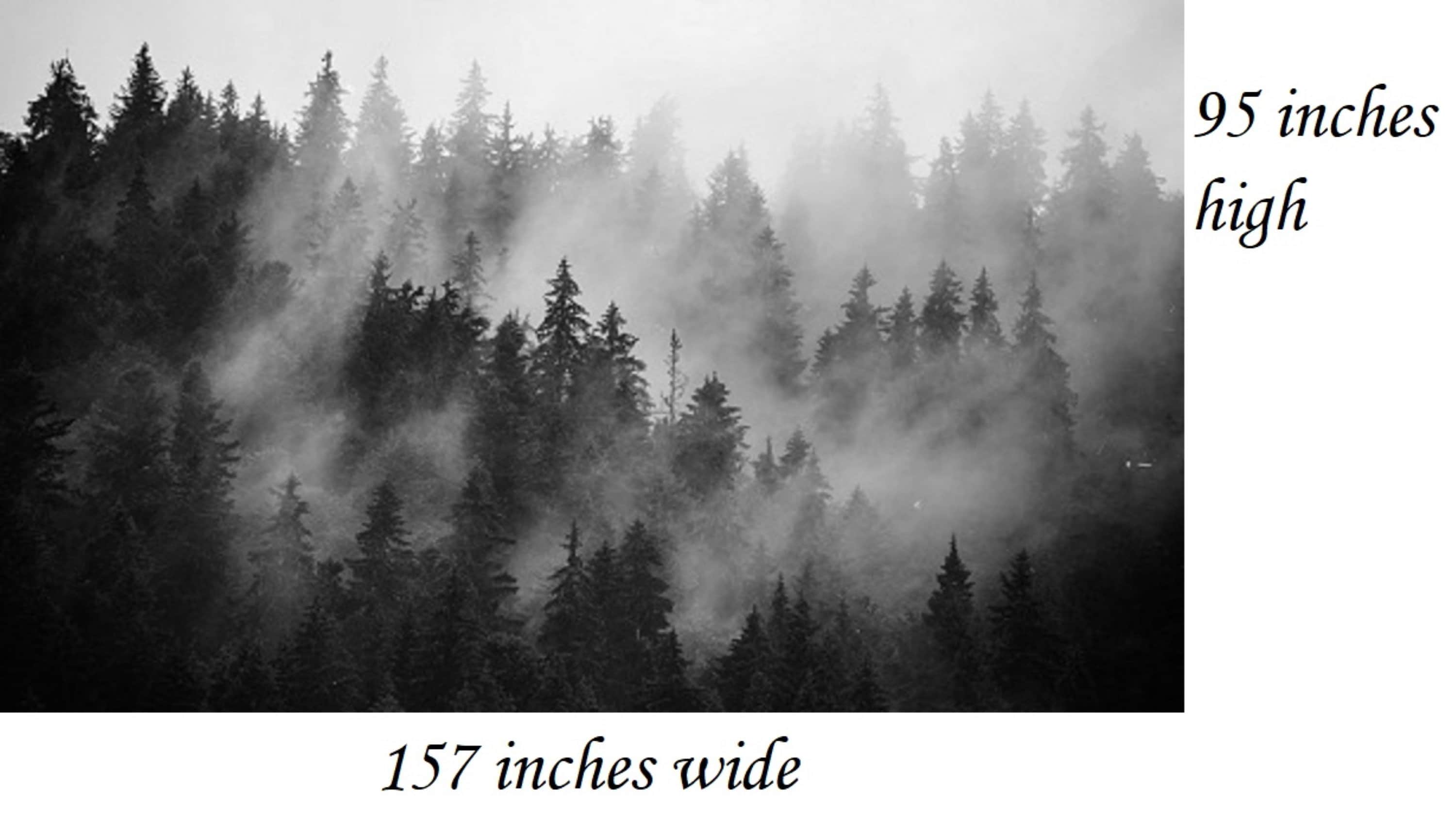 Mysterieus donker bos - Fotobehang, image size:3000x1709