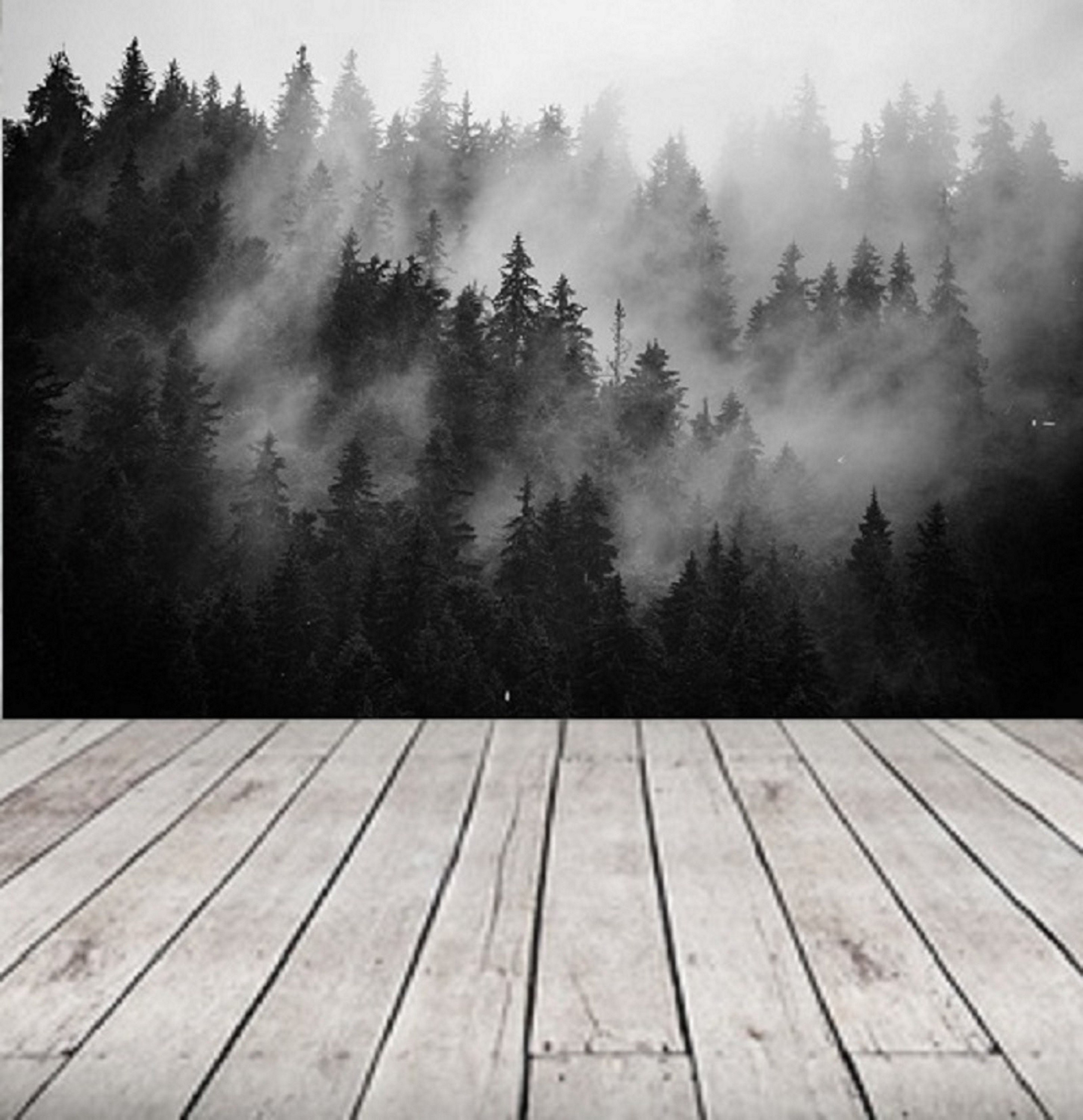 Forest Background Black And White