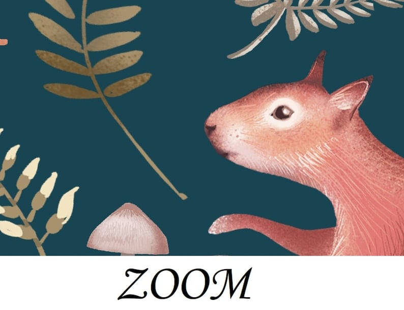 Op de afbeelding: Een rode eekhoorn met een witte buik en een zwart oog kijkt naar rechts. De eekhoorn bevindt zich op een teal achtergrond met bruine en beige bladeren en een roze paddenstoel.
