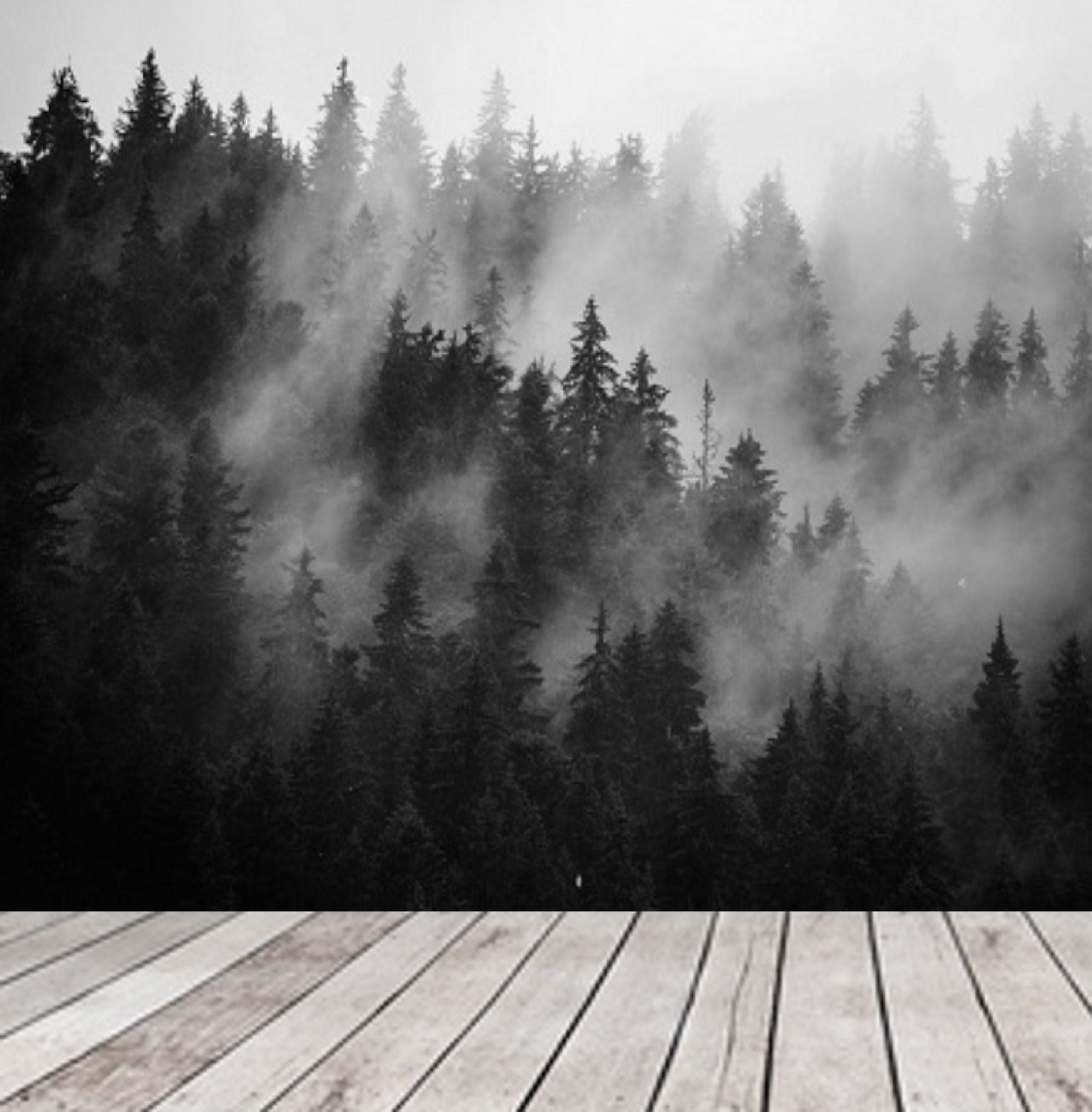 Black and White Forest Wallpaper Mural Peel and Stick Remove Etsy