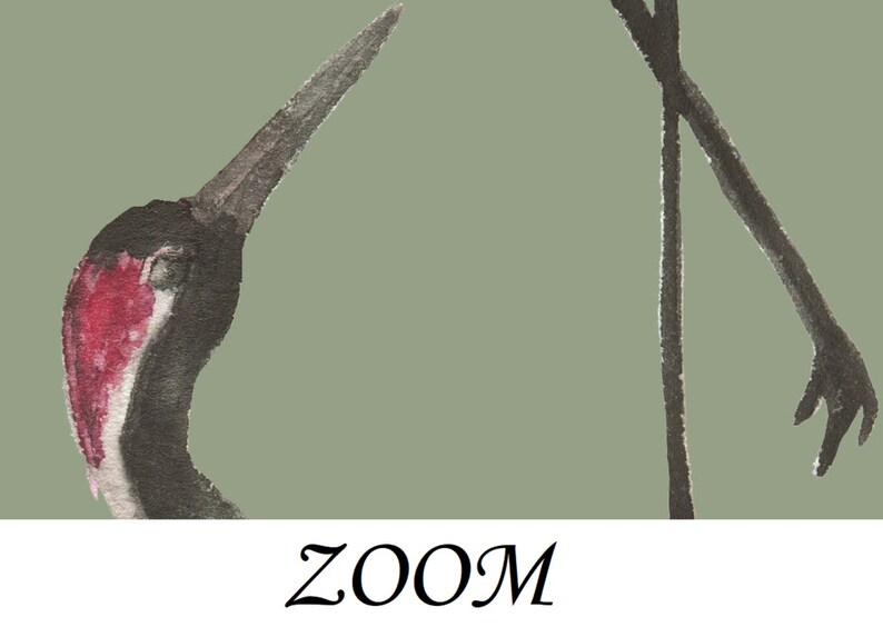 May include: A black and white ink illustration of a crane with a red head and neck. The crane is standing on one leg with its other leg extended. The background is a light green color.