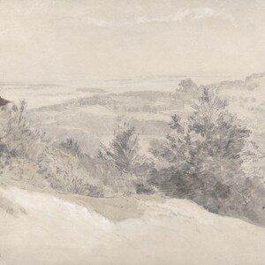 Subtle Grey Vintage Trees Pencil Drawing Sketch Landscape Wallpaper Mural Peel and Stick on Etsy