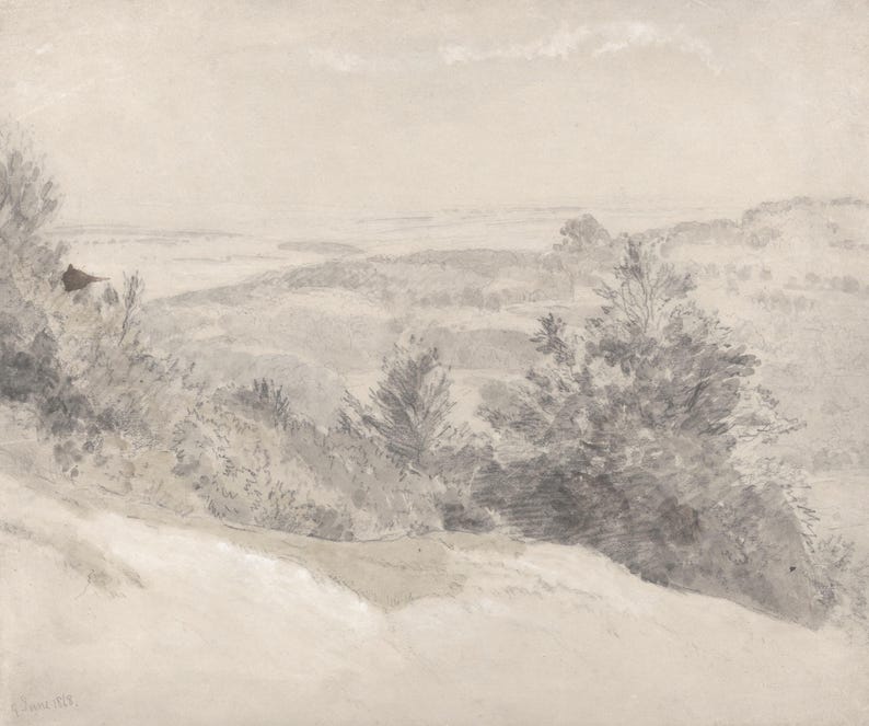 Subtle Grey Vintage Trees Pencil Drawing Sketch Landscape Wallpaper Mural Peel and Stick on Etsy