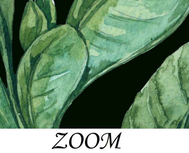 Op de afbeelding: Waterverfschilderij van groene bladeren met een zwarte achtergrond. De bladeren hebben verschillende groentinten en zijn gedetailleerd met aquarelverfstreken. Het woord "ZOOM" staat in een cursief lettertype onderaan de afbeelding.