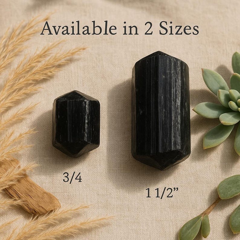 Black Tourmaline natural stone crystal specimen for your mineral gemstone & rock collection, healing crystal grid or boho decor Tourmaline 1.5 inch
