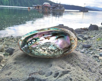 Abalone Shell Smudging Bowl for Energy Cleansing with Sage, Palo Santo, Aromatherapy Incense. Smudge Bowl Altar Shrine Ritual Boho Home Gift