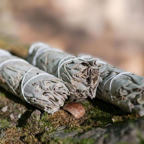 Sage Bundle - Incense for Smudging Cleansing and Purifying Your Home | Perfect Gift For Boho Decor and Housewarming | Ceremony Smudge Supply