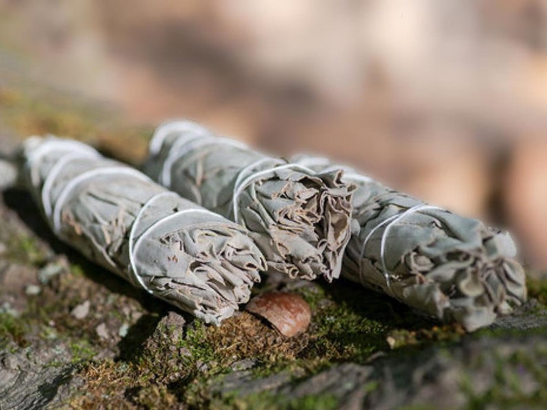 Sage Bundle Incense for Smudging Cleansing and Purifying Etsy